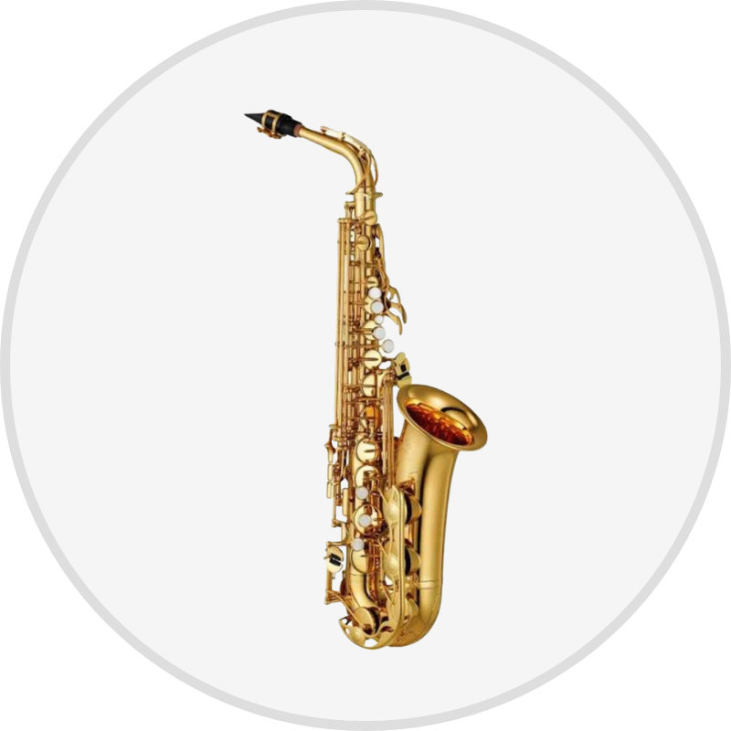 Libros saxo