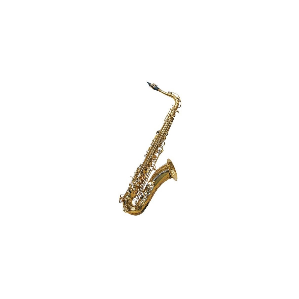 Saxo tenor estudiante