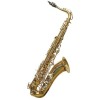 Tenor saxophone student