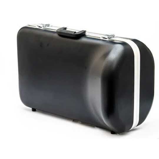 Wessex Euphonium Dolce lacquered EP100