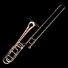 Tenor trombone Wessex Bb/F Premier PBF555HP