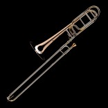 Tenor trombone Wessex Bb/F Premier PBF555HP