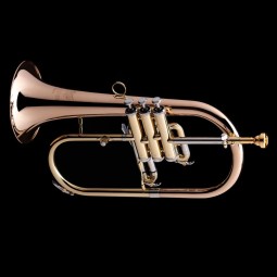 Flugelhorn Wessex FH50 lacquered