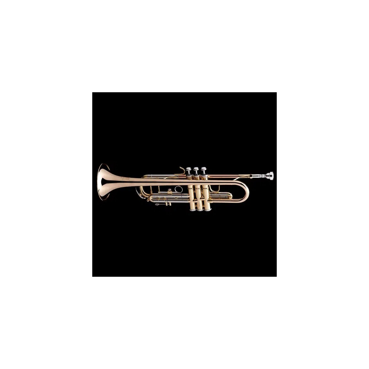 Bb Trumpet Wessex professional lacquered R38