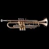 Bb Trumpet Wessex professional lacquered R38