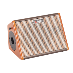 25W acoustic guitar amplifier with rechargeable battery