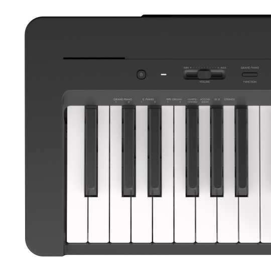 Yamaha p145: Digital Piano