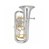 Yamaha Euphonium YEP842TS Custom