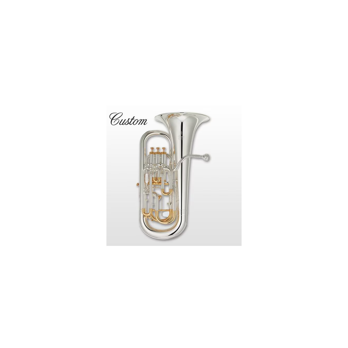 Yamaha Euphonium YEP842TS Custom