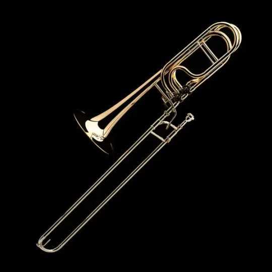 Professional bass trombone Wessex PBF565P Professional bass trombone Wessex PBF565P