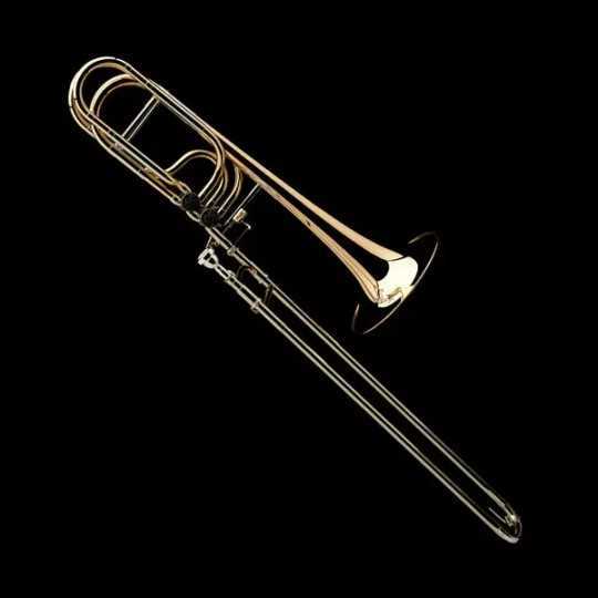 Professional bass trombone Wessex PBF565P Professional bass trombone Wessex PBF565P