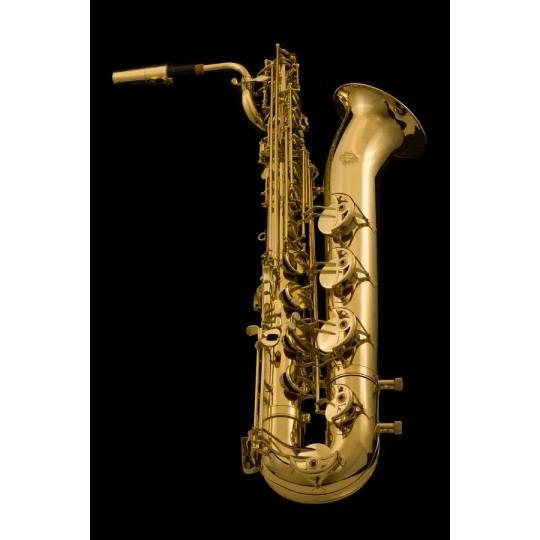 Saxo barítono wessex sax110