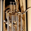 Tuba in Eb Wessex Champion lacquered 3+1 TE560P