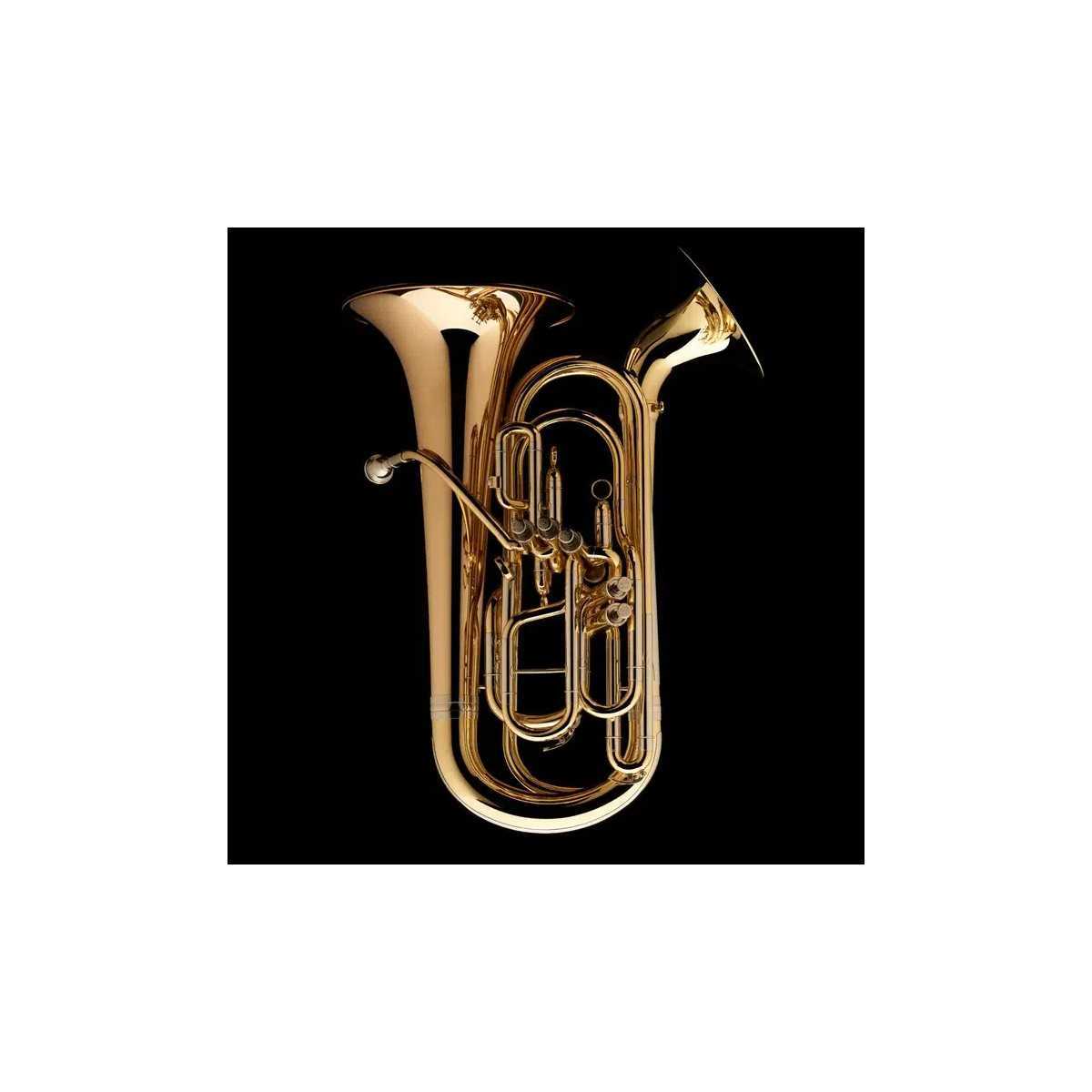 Wessex Duplex Euphonium EP105P