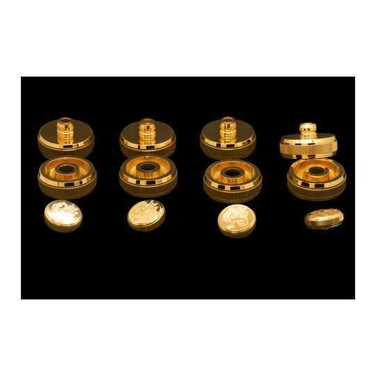 Golden Euphonium Tapas Wessex Clce