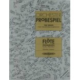 Probespiel Orquesta Flauta