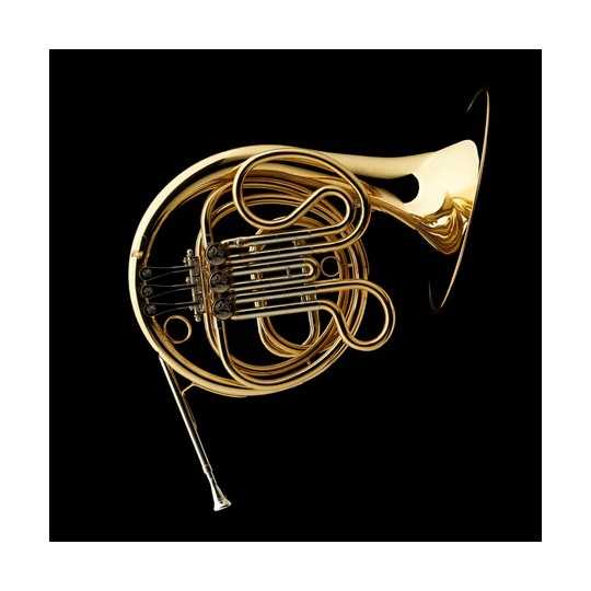 Junior F Horn Wessex FH20