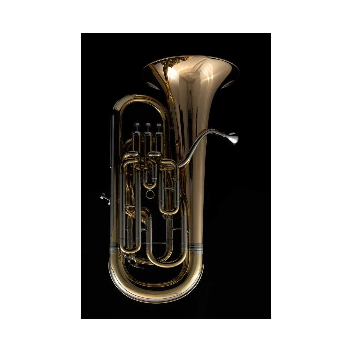 Bombardino Wessex EP110 FORTISSIMO LACADO