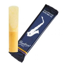 Alto Saxophone Traditional 2 Vandoren