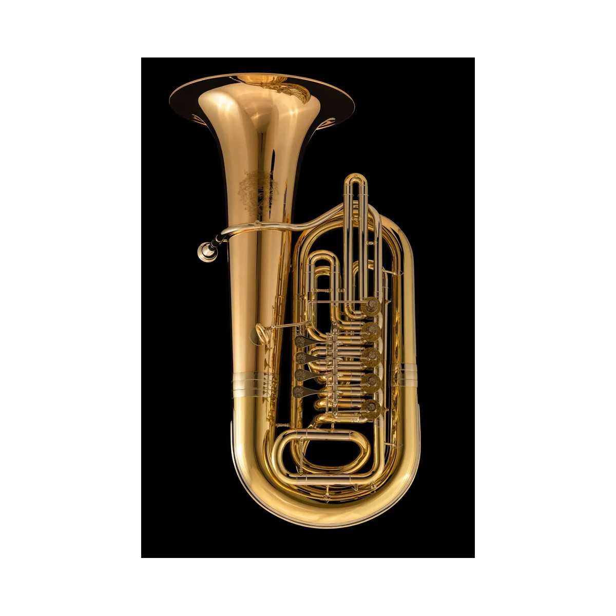 Tuba en Mib Wessex Danube 5 cilindros TE495