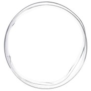 Protector campana Bombardino transparente