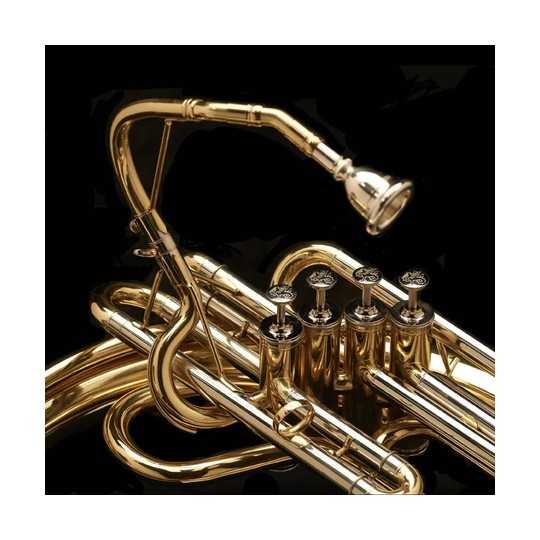 Helicon in Bb Wessex HB24 lacquered