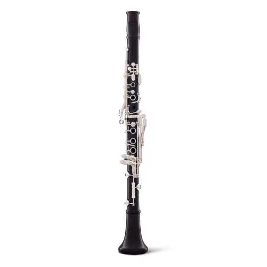 Backun Bb clarinet Protégé grenadilla 18 silver
