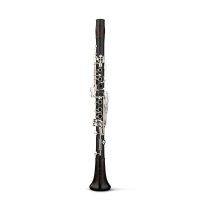 Backun Bb clarinet Q Series grenadilla 18 silver | A Un Tono