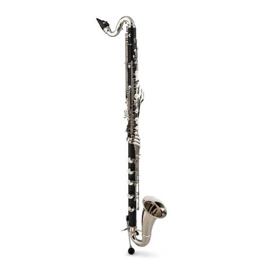 Backun Bb bass clarinet Alpha up to C nickel