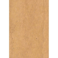Lámina corcho natural 15x10 grosor 2mm Rigotti