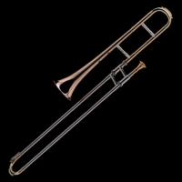 Sacabuche Alto Wessex %separator% in A Un Tono