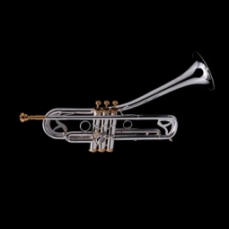 Trompeta Jazz Strato Sib Wessex R450