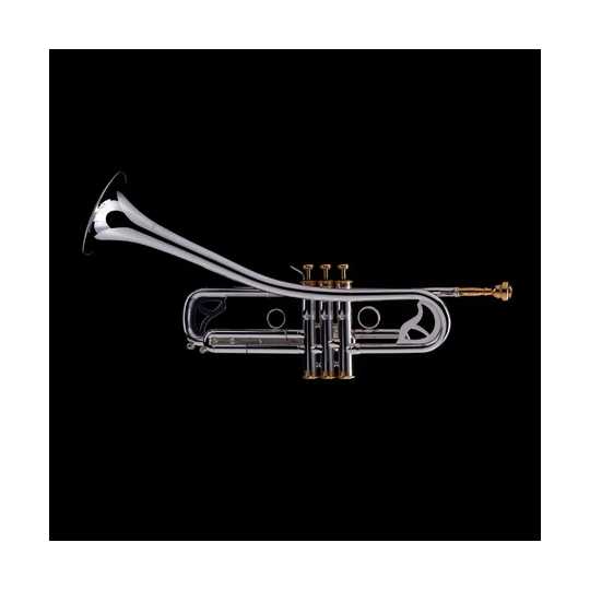 Trompeta Jazz Strato Sib Wessex | A Un Tono Trompeta Jazz Strato Sib Wessex R450