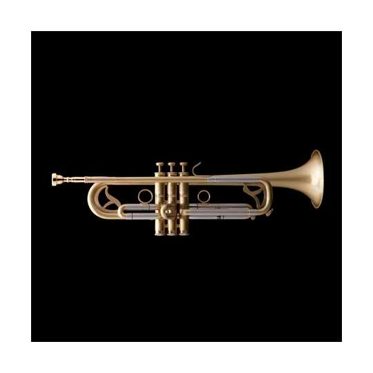 Trompeta Jazz R451 Wessex | A Un Tono Trompeta Jazz Sib Wessex – R451