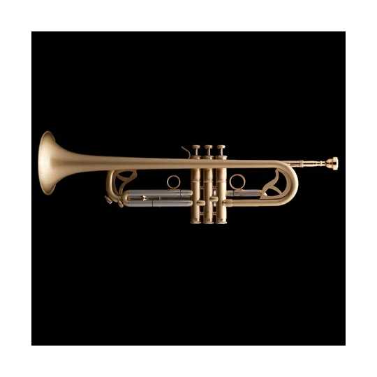 Trompeta Jazz R451 Wessex | A Un Tono Trompeta Jazz Sib Wessex – R451