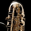 Saxo Bajo SAX120 | A Un Tono Saxo Bajo SAX120 | A Un Tono
