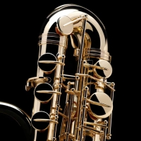 Saxo Bajo SAX120 | One Tone