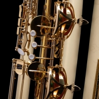 Saxo Bajo SAX120 | One Tone