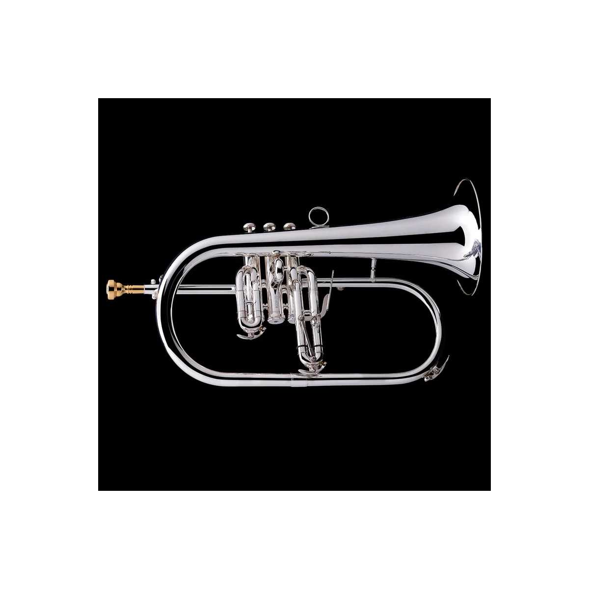 Fliscorno Wessex FH50 plateado