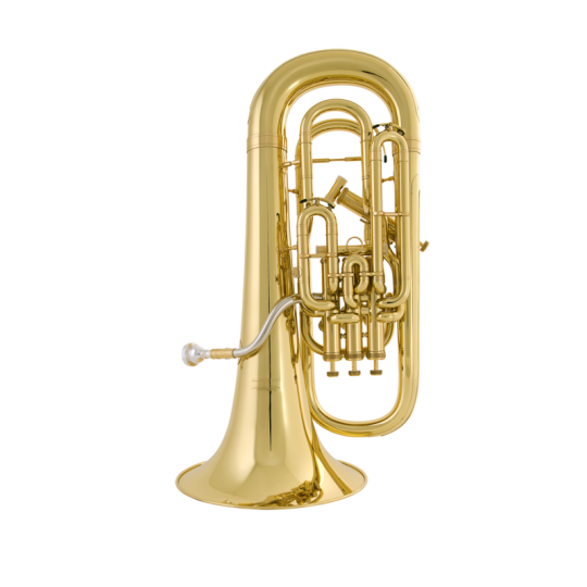 Willson Euphonium 2950TA lacquered with trigger