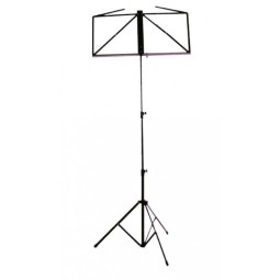 Folding black music stand with case