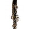 Backun Bb clarinet Protégé grenadilla silver and gold | A Un Tono