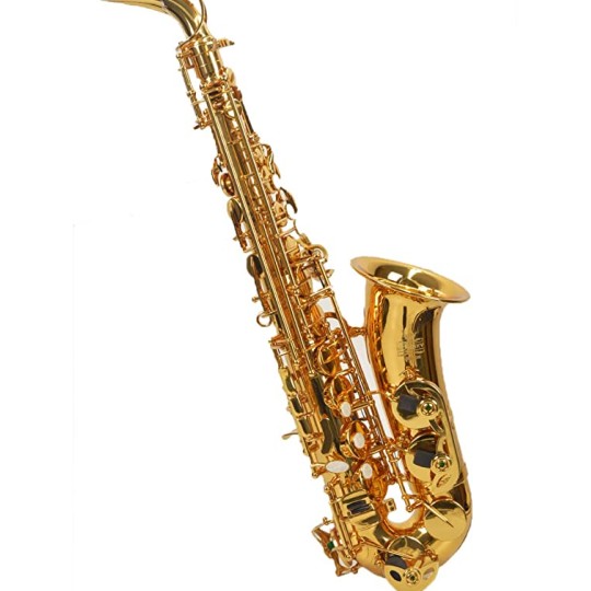 Saxo alto estudiante lacado con estuche