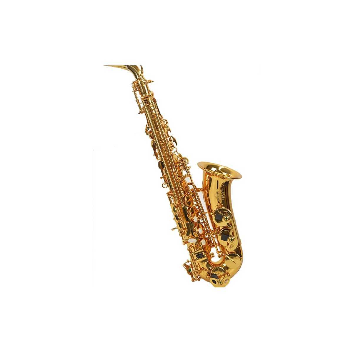 Lacquered alto saxophone for student with case