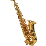 Lacquered alto saxophone for student with case
