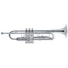 Silver B-flat trumpet at the best price