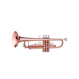 Bb student gold lacquered trumpet TR-180.