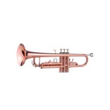 Bb student gold lacquered trumpet TR-180.