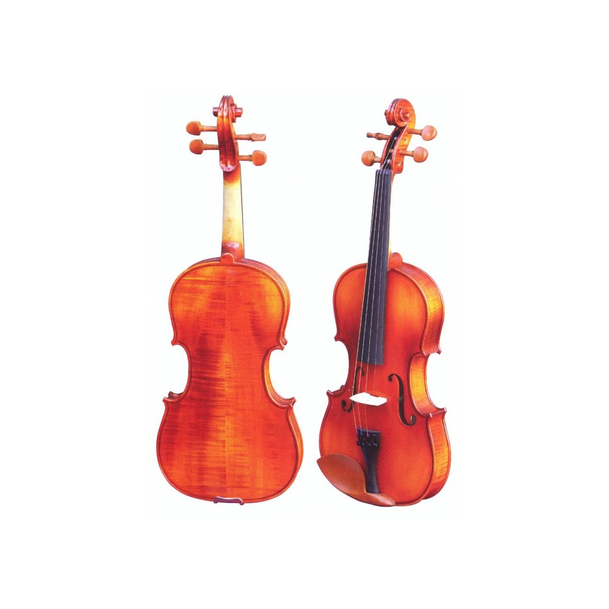 Violín 1/4 gaudieri hd-v21